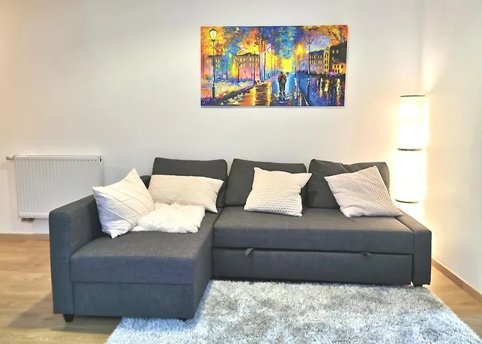 Appartement De Standing 8 Personnes Centre Historique De Colmar