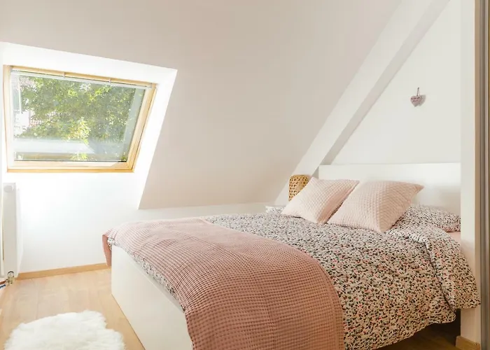 Appartement De Standing 8 Personnes Centre Historique De Colmar